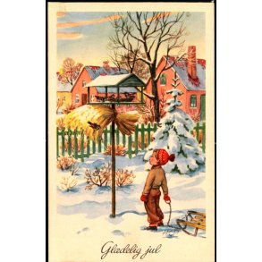 Hans Christian Petersen - Glædelig jul - Serie 79