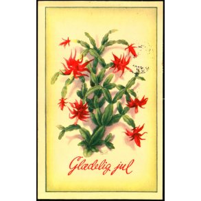 Hans Christian Petersen - Glædelig jul - Serie 1058