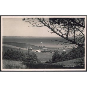 Fugls&oslash;lejren - Fotokort u/n