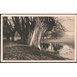 Parti fra K&oslash;ge - Valdemar Breums 54504