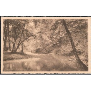 Køge - Parti fra Lellinge Skov - Stender K 42