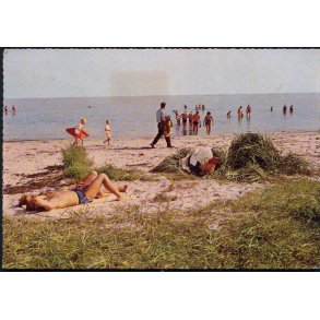 Køge Bugt - Christian Stigaard 203