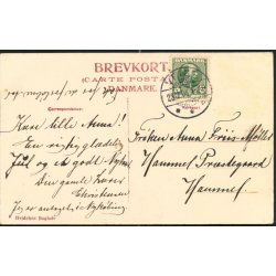 Vejle - Vor Frelsers Kirke - Hvidehus Boglade u/n