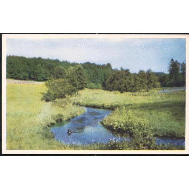 Vejle - Grejsdalen - Stender 11