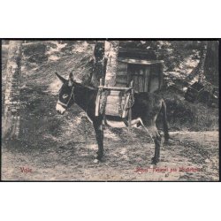 Vejle - Moses Pak&aelig;slet p&aring; Munkebjerg - Warburgs 624