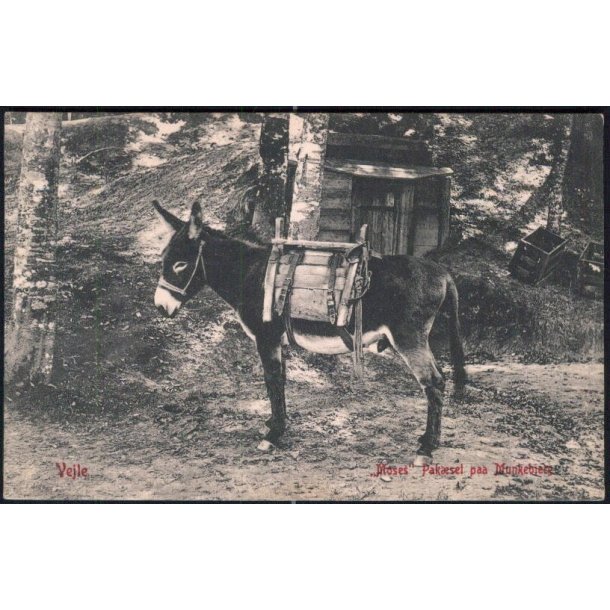 Vejle - Moses Pak&aelig;slet p&aring; Munkebjerg - Warburgs 624