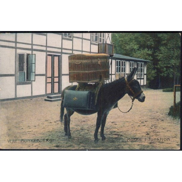 Vejle -Munkebjerg - Moses i Funktion - Chr. Hansens 36074