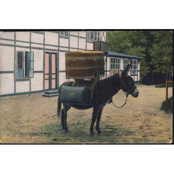 Vejle -Munkebjerg - Moses i Funktion - Chr. Hansens 36074