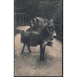 Vejle - Hilsen fra Munkebjerg - Moses - C.Neumanns 25456