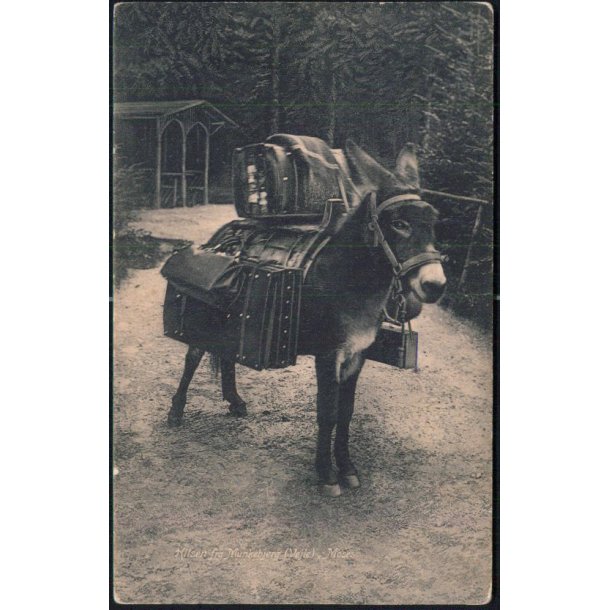 Vejle - Hilsen fra Munkebjerg - Moses - C.Neumanns 25456