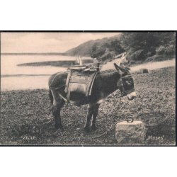 Vejle - Moses - H.B. 127