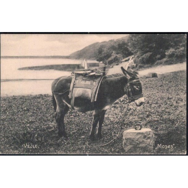 Vejle - Moses - H.B. 127