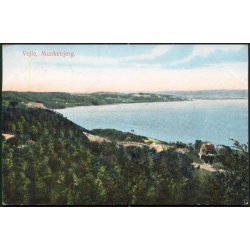 Vejle - Munkebjerg - Alex Vincent 96