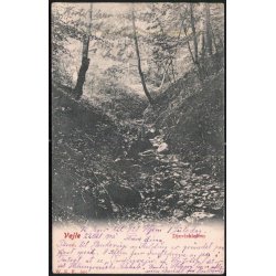 Vejle - Dj&aelig;vlekl&oslash;ften - WKF 625