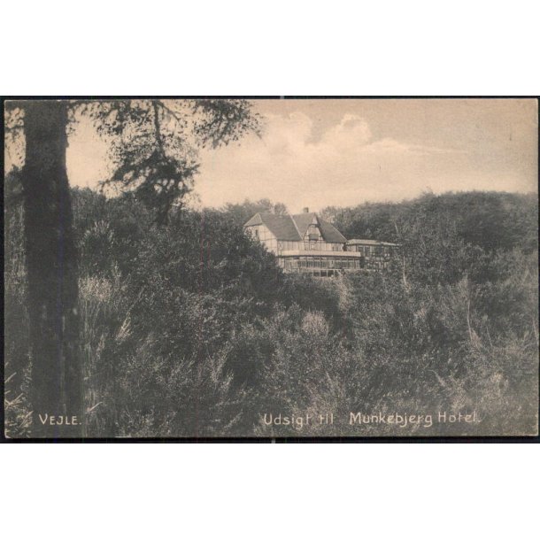 Vejle -Udsigt til Munkebjerg Hotel - H.B. 4334