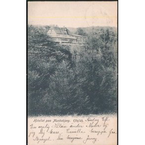 Hotellet paa Munkebjerg (Vejle ) C. Neumans u/n