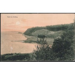 Parti fra Kolding - Alex Vincent 223b/10