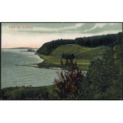 Parti fra Kolding - Alex Vincent 91