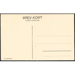 Kolding- Udsigt fra Stejlbjerg - C.F. u/n