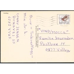 Kolding - Trojaborg Kol- 24