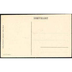 Fra Landsudstillingen i Aarhus 1909 - J.J.N. 3425