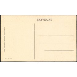 Fra Landsudstillingen i Aarhus 1909 - J.J.N. 3425