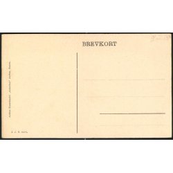 Fra Landsudstillingen i Aarhus 1909 - J.J.N. 3425