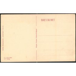 Fra Landsudstillingen i Aarhus 1909 - Ved Hovedindgangen - J.J.N. 3498 - 2det Oplag