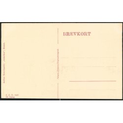 Fra Landsudstillingen i Aarhus 1909 - Ved Hovedindgangen - J.J.N. 3498 - 5det Oplag