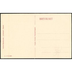 Fra Landsudstillingen i Aarhus 1909 - Ved Hovedindgangen - J.J.N. 3498