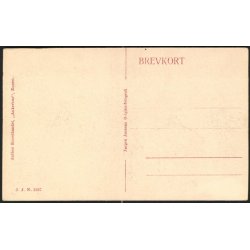 Fra Landsudstillingen i Aarhus 1909 -J.J.N. 3527