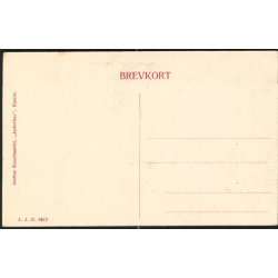 Landsudstillingen i Aarhus 1909 - Stationsbyen, Folkeparken, og Fregatten Jylland - J.J.N. 3512