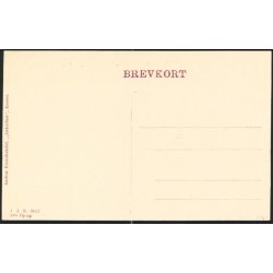 Landsudstillingen i Aarhus 1909 - Stationsbyen, Folkeparken, og Fregatten Jylland - J.J.N. 3512 3die oplag.