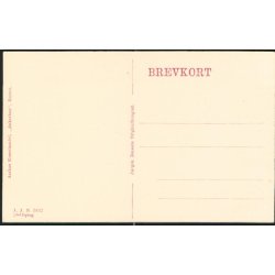 Fra Landsudstillingen i Aarhus 1909 - J.J.N. 3492 2det Oplag.