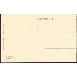 Fra Landsudstillingen i Aarhus 1909 - J.J.N. 3304 2det Oplag