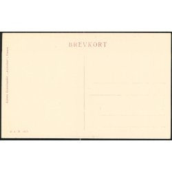 Fra Landsudstillingen i Aarhus 1909 - Stationsbyen og Folkeparken - J.J.N. 3415