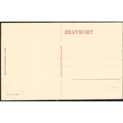 Fra Landsudstillingen i Aarhus 1909 - Stationsbyen og Folkeparken - J.J.N. 3725