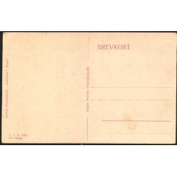 Fra Landsudstillingen i Aarhus 1909 - J.J.N. 3556 3die Oplag