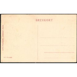 Fra Landsudstillingen i Aarhus 1909 - Carlsbergs�jlen og Tuborgtriumfbuen -J.J.N. 3528