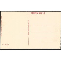 Landsudstillingen i Aarhus 1909 - Ved Carlsbergs�jlen - J.J.N. 3502