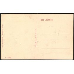 Landsudstillingen i Aarhus 1909 - Industrihallen og Carlsbergs�jlen - Tuborgtriumfbue - J.J.N. 3596