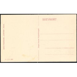 Landsudstillingen i Aarhus 1909 - Industrihallen - J.J.N. 3500