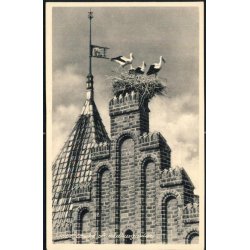 Ribe - Storke p� R�dhusgavlen - Baneg�rdskiosken 9637