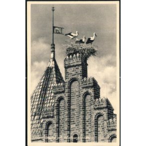 Ribe - Storke p� R�dhusgavlen - Baneg�rdskiosken 9637