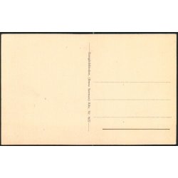 Ribe - Storke p� R�dhusgavlen - Baneg�rdskiosken 9637