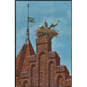 Ribe - Storke p� R�dhusgavlen - Rudolf Olsens 103