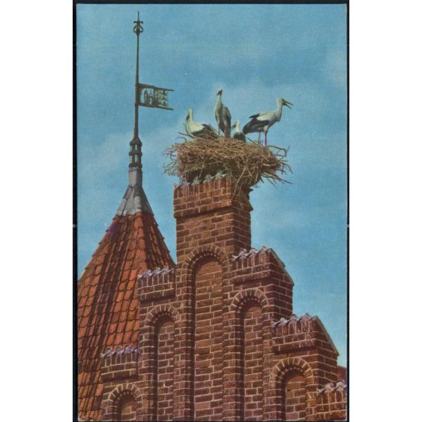 Ribe - Storke p Rdhusgavlen - Rudolf Olsens 103