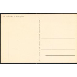 Ribe - Storke p� R�dhusgavlen - Rudolf Olsens 103