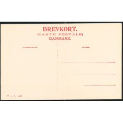 Ribe - Sadelmager Jensens Hus - W.K.F. 1824