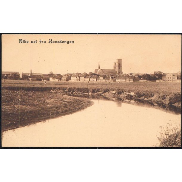 Ribe set fra Hovedengen - Johs. Brorsens 2610